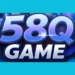 58Q Game