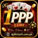 1PPP Game