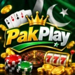 PakPlay Game
